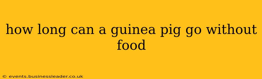 how long can a guinea pig go without food