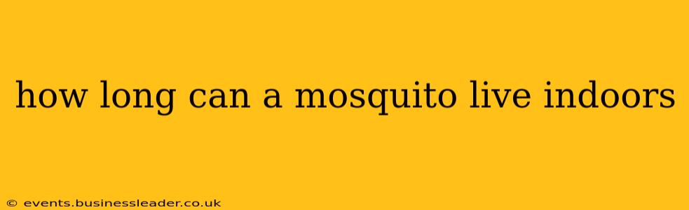 how long can a mosquito live indoors