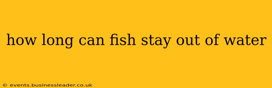 how long can fish stay out of water