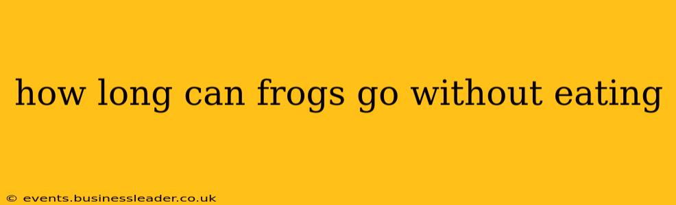 how long can frogs go without eating