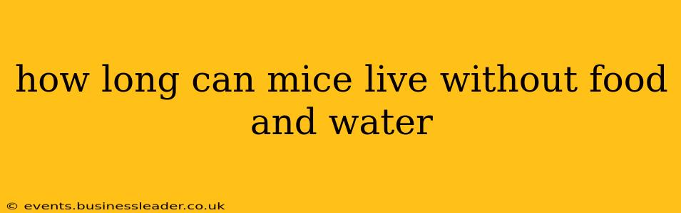 how long can mice live without food and water