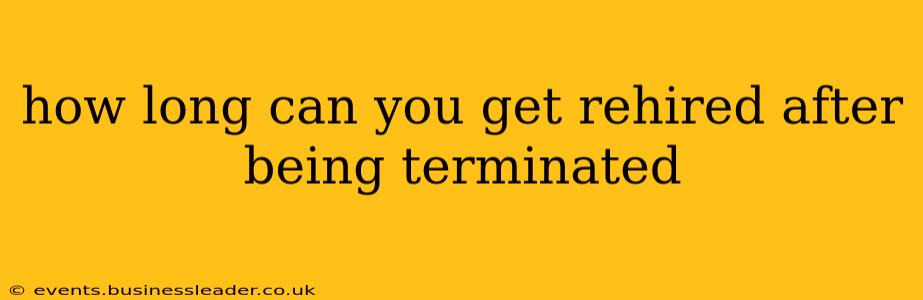 how long can you get rehired after being terminated