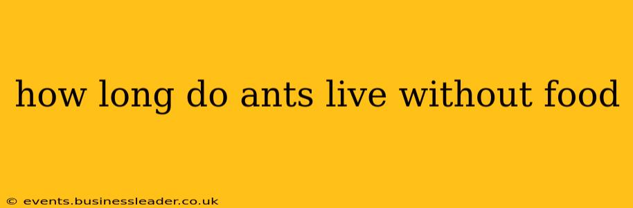how long do ants live without food