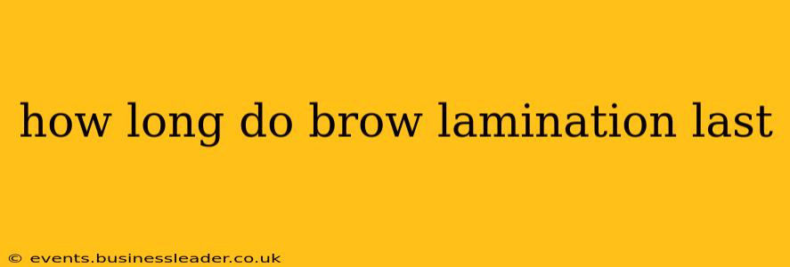 how long do brow lamination last
