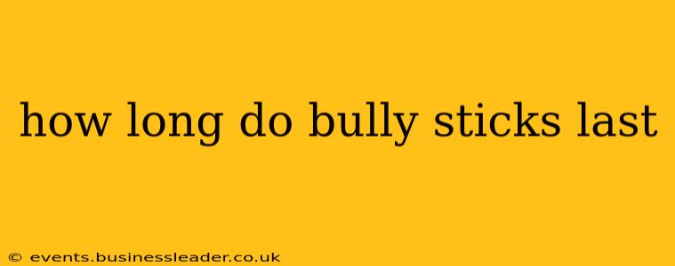 how long do bully sticks last