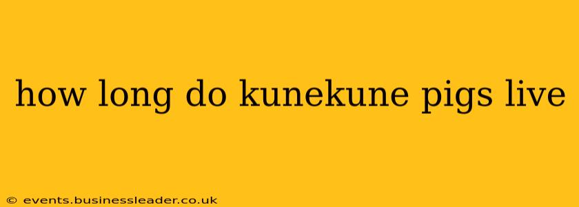 how long do kunekune pigs live