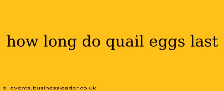 how long do quail eggs last