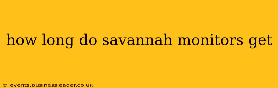 how long do savannah monitors get