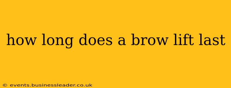 how long does a brow lift last