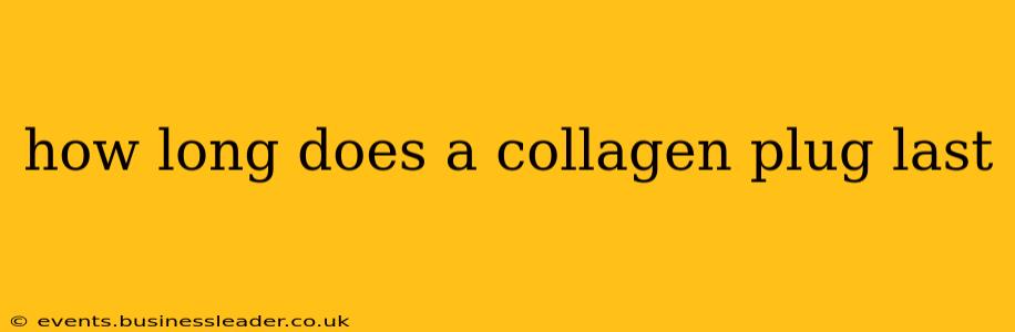 how long does a collagen plug last