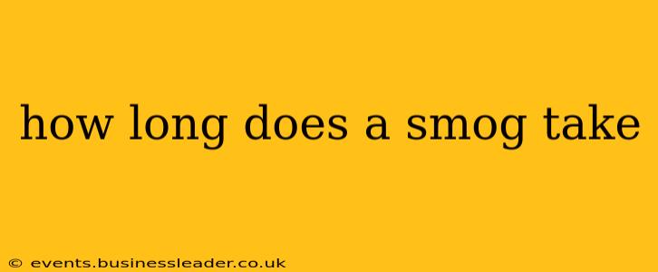 how long does a smog take