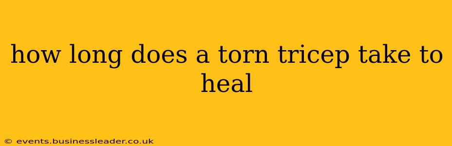how long does a torn tricep take to heal