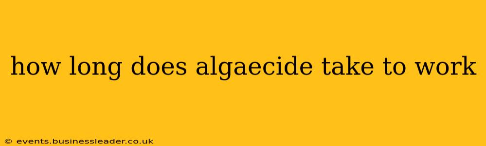 how long does algaecide take to work