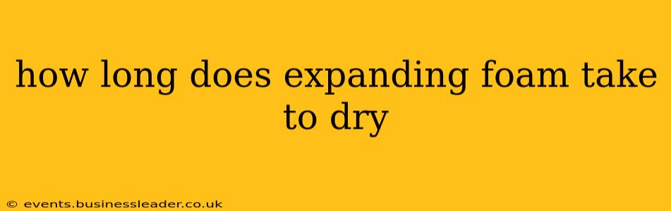 how long does expanding foam take to dry