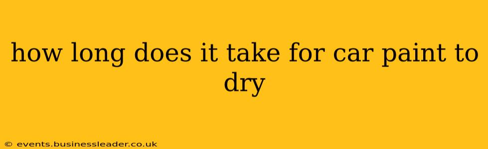 how long does it take for car paint to dry