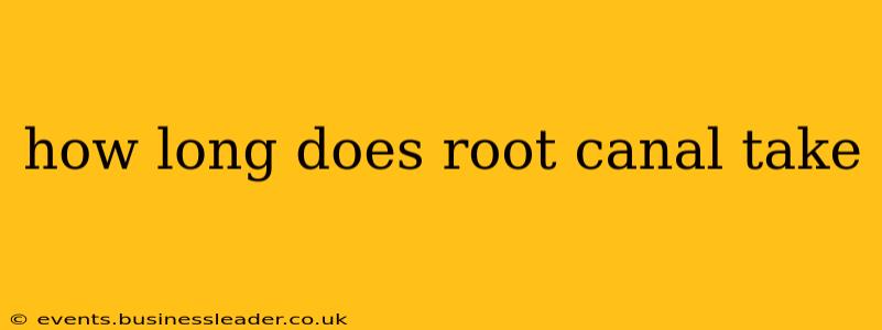 how long does root canal take