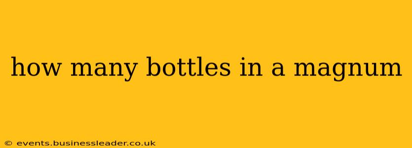 how many bottles in a magnum