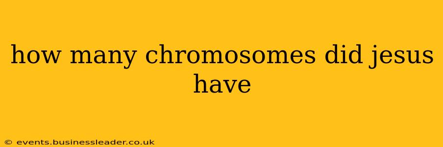 how many chromosomes did jesus have