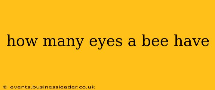 how many eyes a bee have