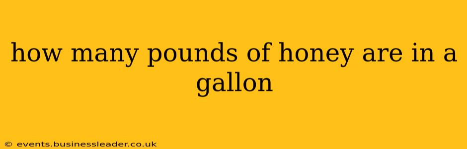 how many pounds of honey are in a gallon