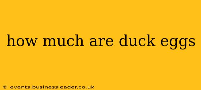 how much are duck eggs