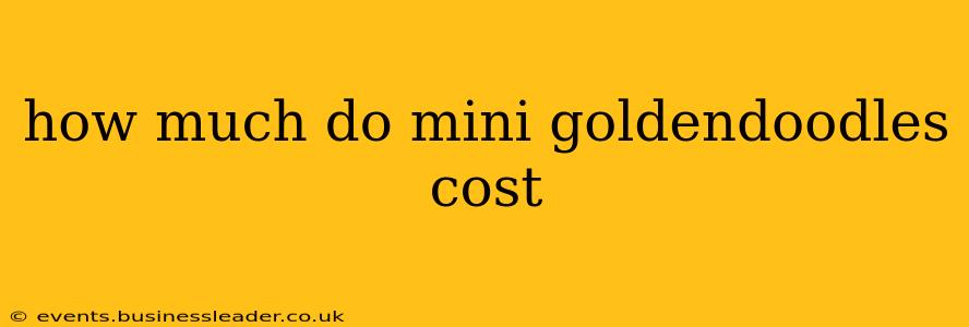 how much do mini goldendoodles cost