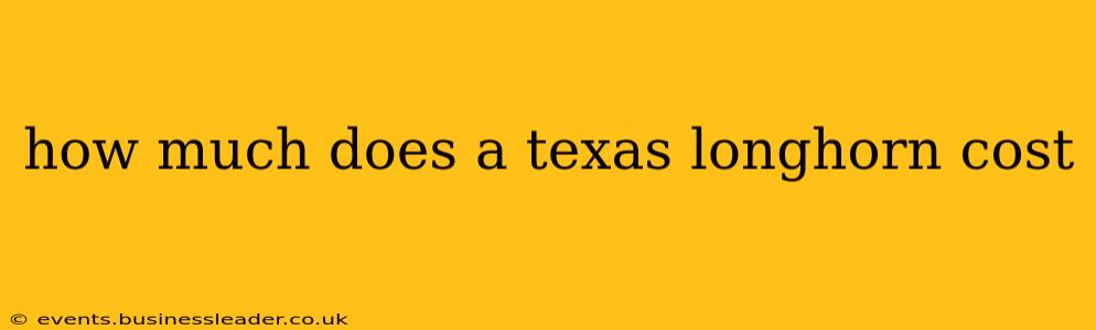 how much does a texas longhorn cost