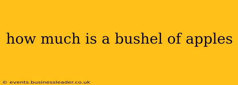 how much is a bushel of apples
