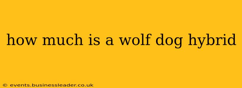 how much is a wolf dog hybrid