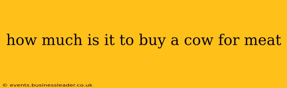 how much is it to buy a cow for meat