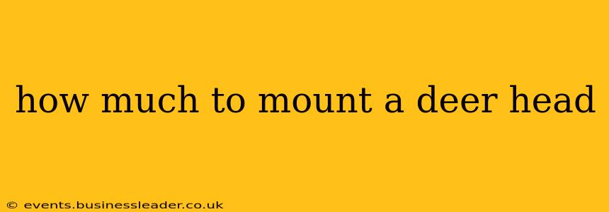 how much to mount a deer head