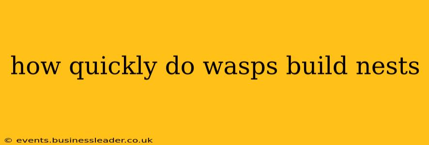 how quickly do wasps build nests