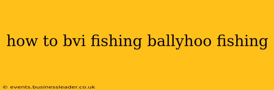 how to bvi fishing ballyhoo fishing