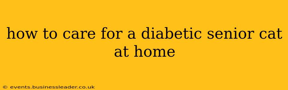 how to care for a diabetic senior cat at home