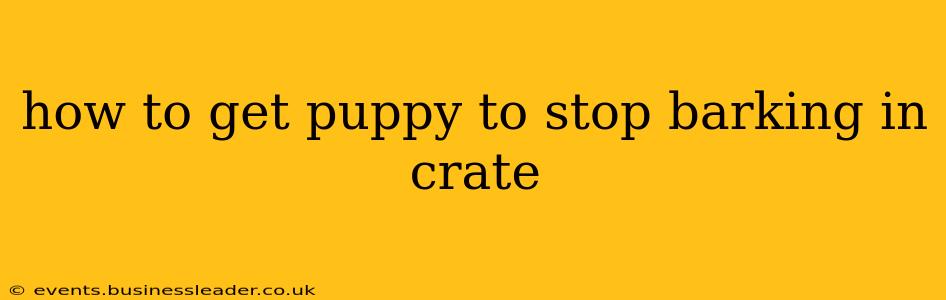 how to get puppy to stop barking in crate