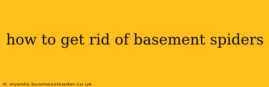 how to get rid of basement spiders