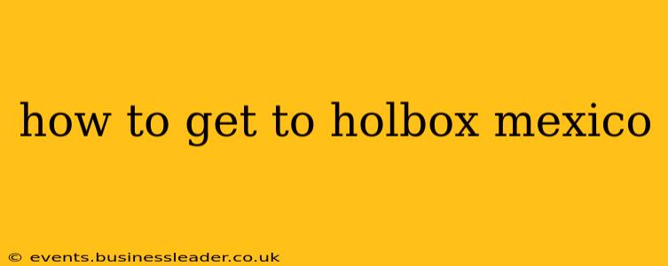 how to get to holbox mexico