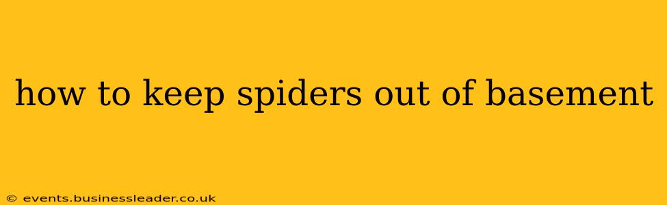 how to keep spiders out of basement
