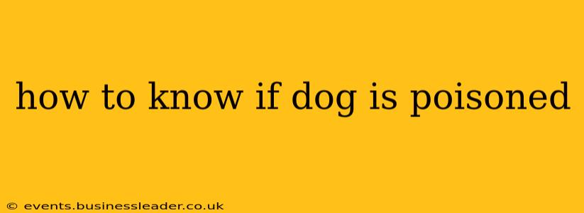 how to know if dog is poisoned