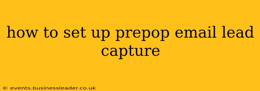 how to set up prepop email lead capture