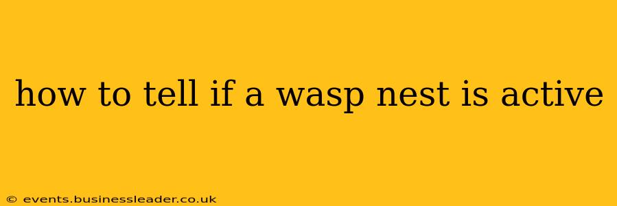 how to tell if a wasp nest is active