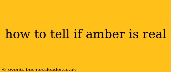 how to tell if amber is real