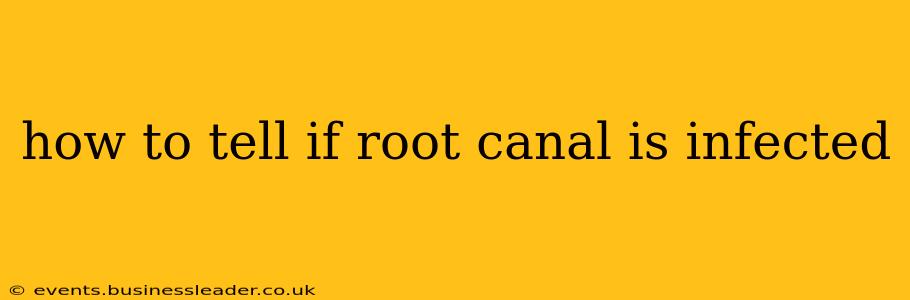 how to tell if root canal is infected