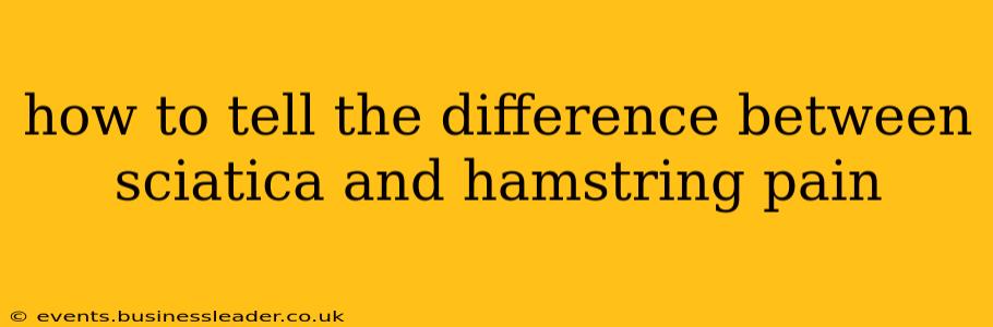 how to tell the difference between sciatica and hamstring pain