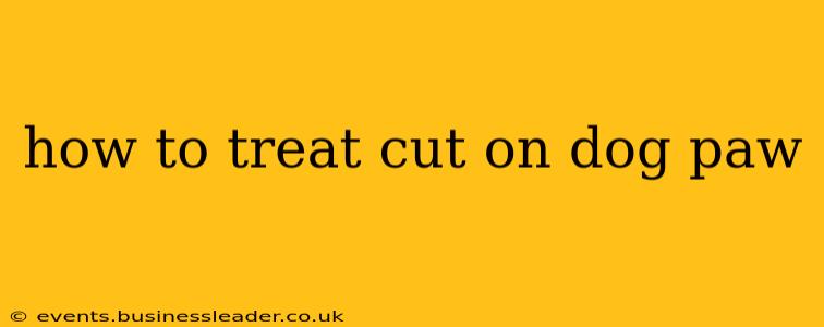 how to treat cut on dog paw