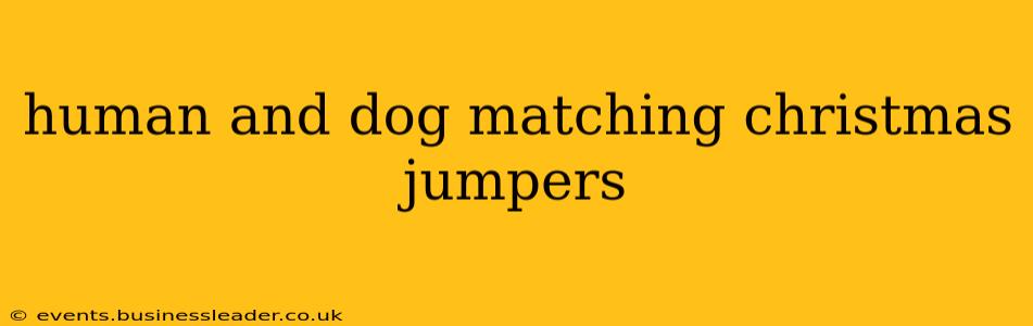 human and dog matching christmas jumpers