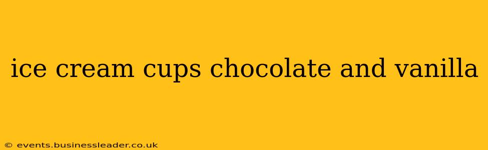 ice cream cups chocolate and vanilla