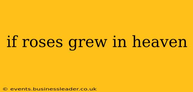 if roses grew in heaven