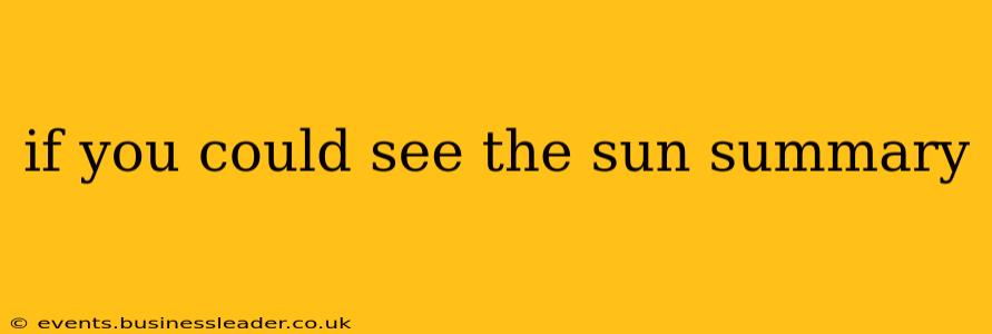 if you could see the sun summary