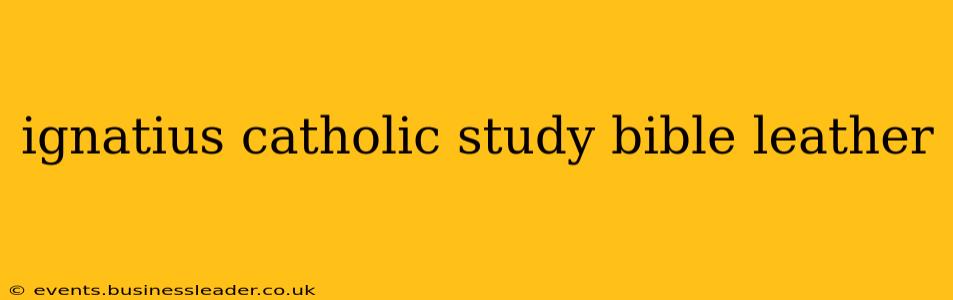 ignatius catholic study bible leather